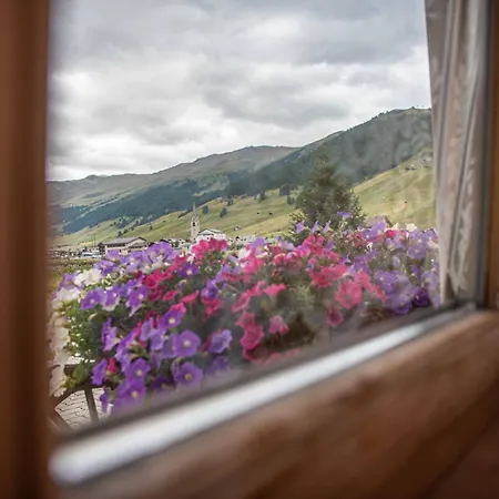 Family House Amalia Myholidaylivigno