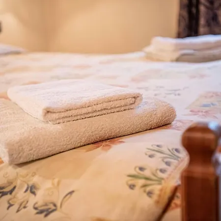 Family House Amalia Myholidaylivigno *